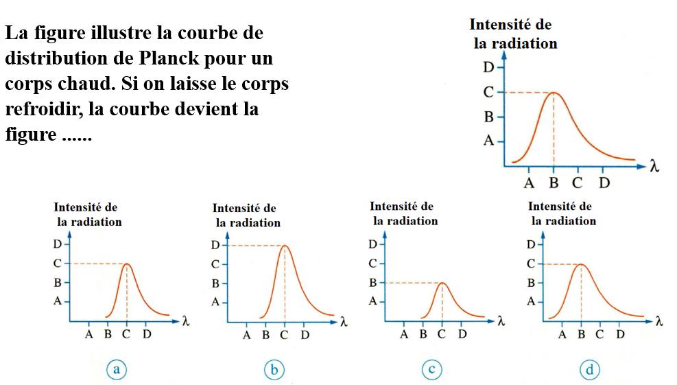 Question 5